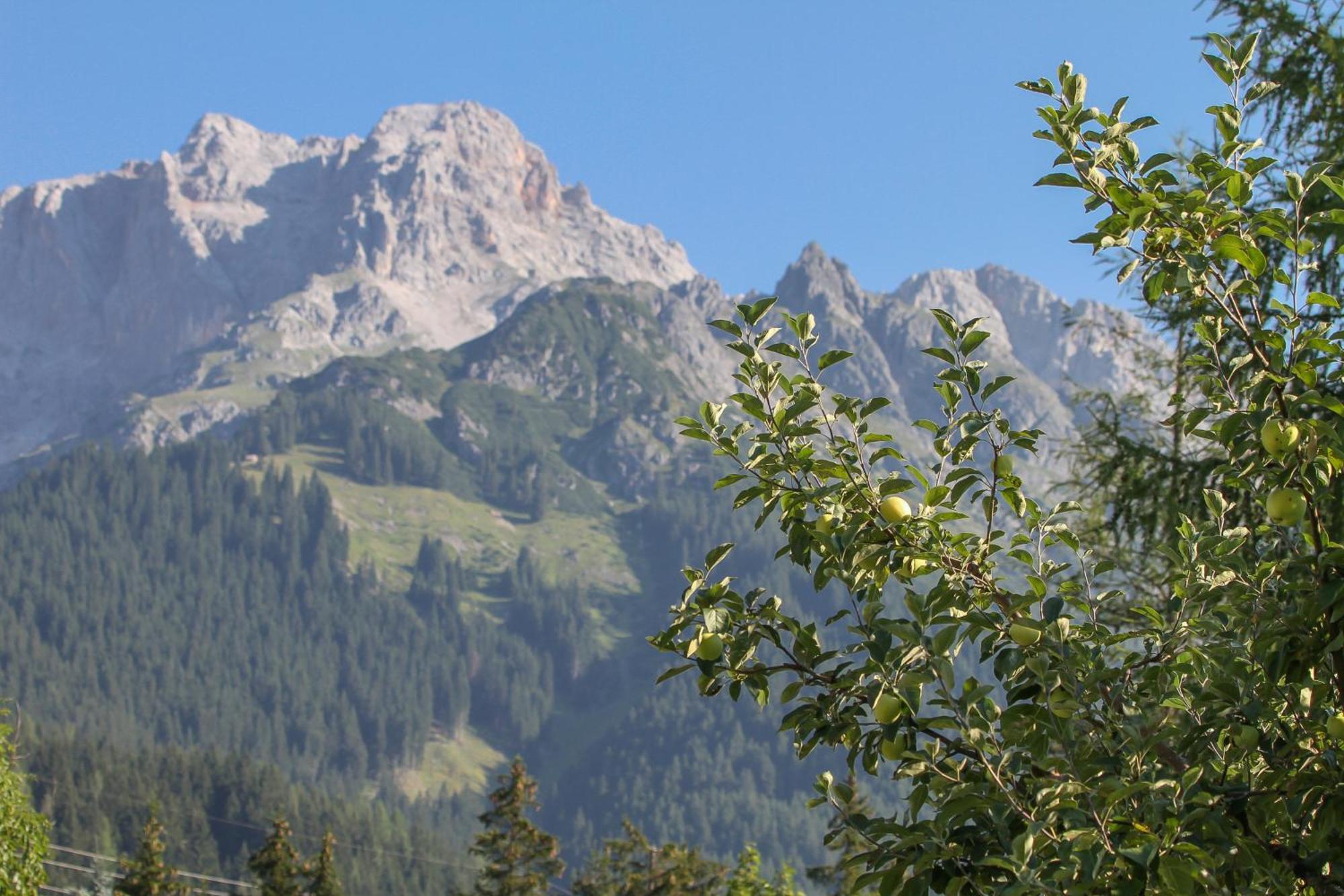 Appartement Haus Bergliebe à Maria Alm Extérieur photo